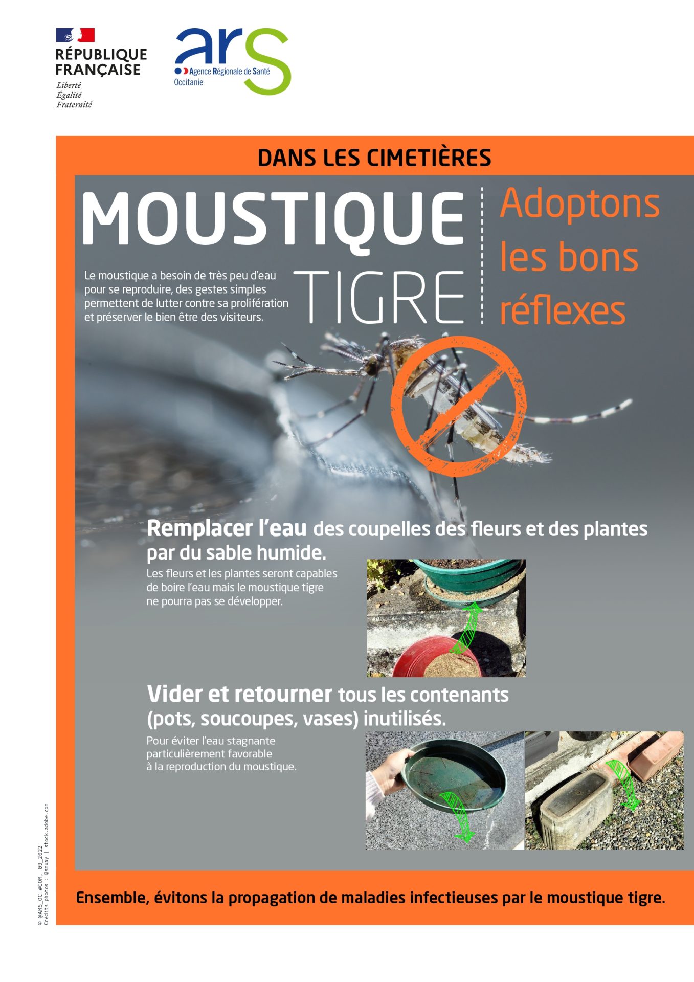 Lire la suite à propos de l’article Moustique tigre – Lutte antivectorielle en Aveyron