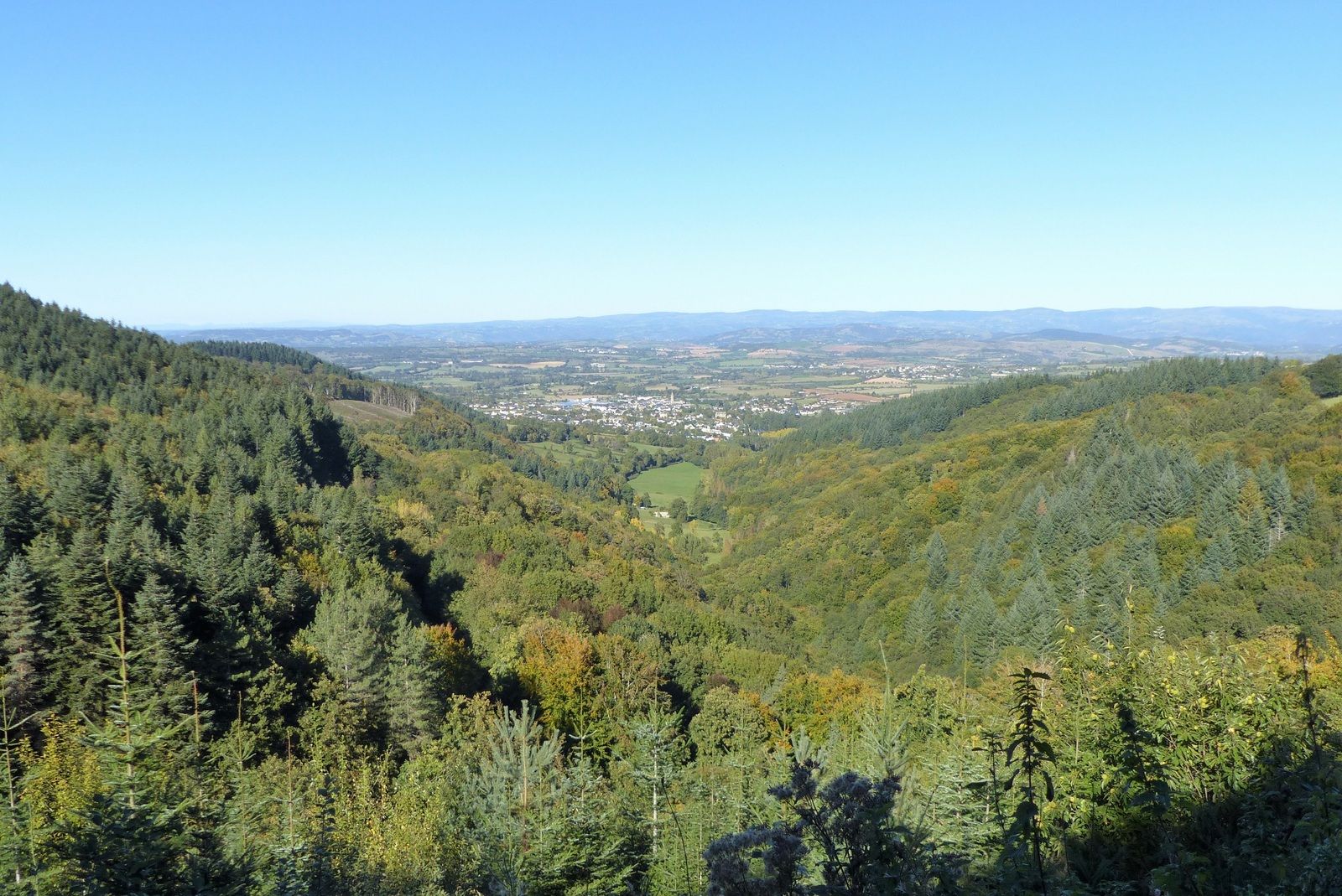 Lire la suite à propos de l’article Arrêté de restriction de circulation dans la forêt des Palanges